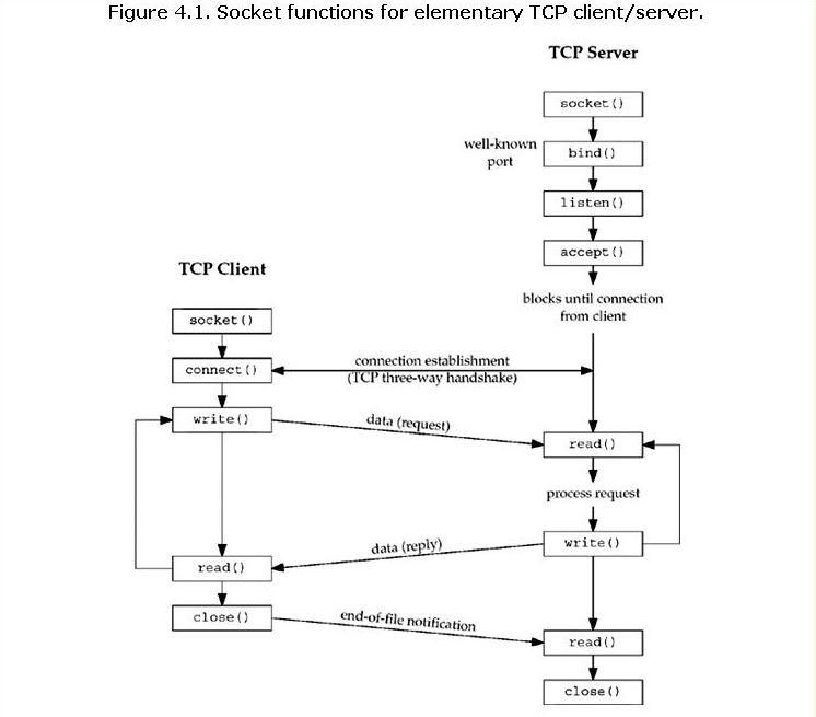 tcp.JPG