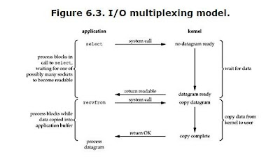 iomultiplexingmodel.JPG