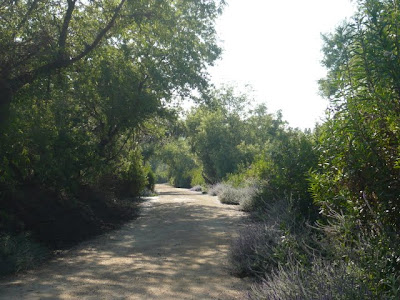 San Joaquin Wildlife Sanctuary