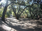 Oak Canyon