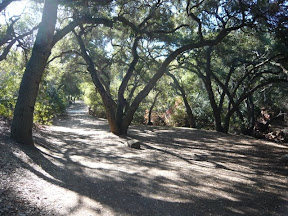 Oak Canyon
