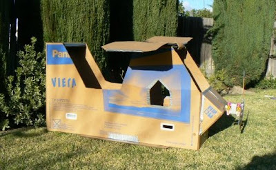 Cardboard Magic