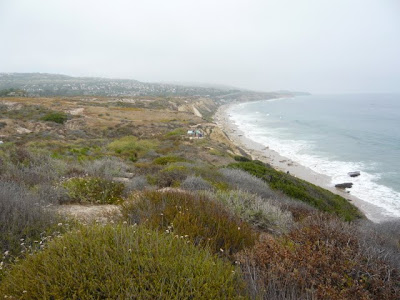 Crystal Cove