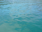 Splash Thumbnail