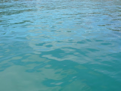 Splash
