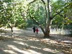 Big Sur Camping Thumbnail
