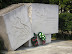 P1010045.JPG