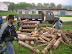 P1010160.JPG