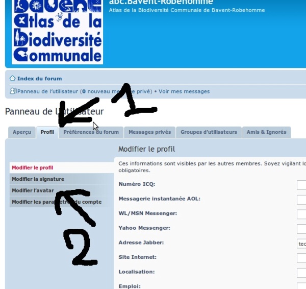 Image