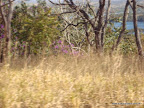 DSC07145.JPG