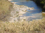 DSC07151.JPG