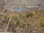 DSC07159.JPG