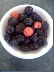 blkberrydish