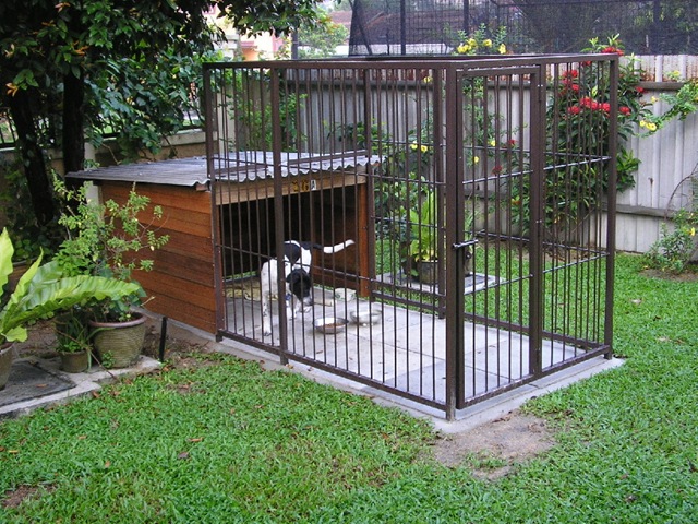 [Dog house 1[4].jpg]