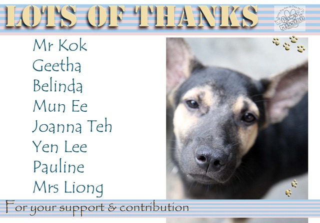 [Thank you 3[6].jpg]