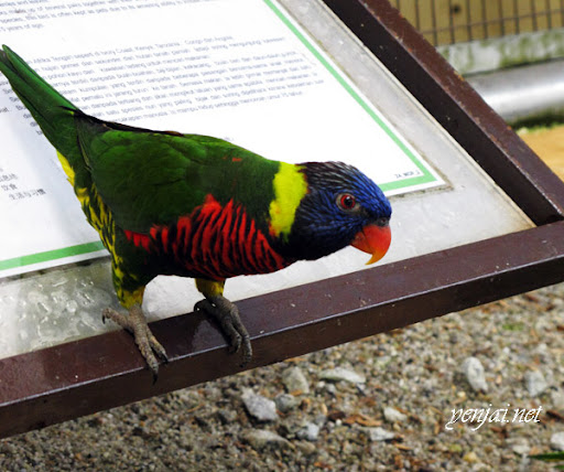 KL Bird Park