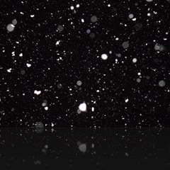 Snow in the night.