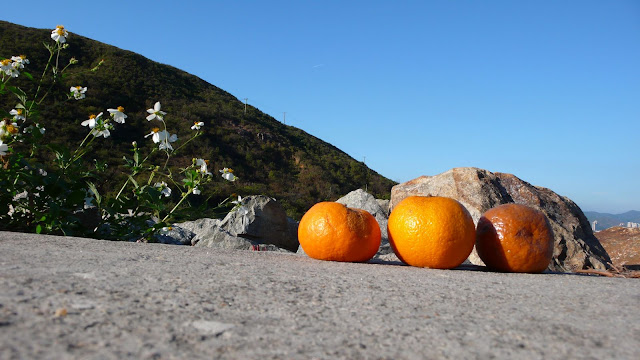 oranges