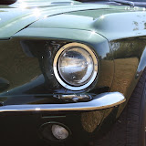 IMG_4497.JPG