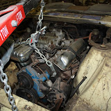 IMG_4845.JPG