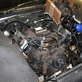 IMG_6647.JPG