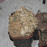 IMG_6407.JPG