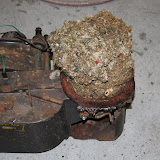IMG_6409.JPG