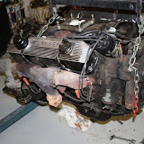 IMG_6685.JPG