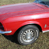 IMG_7323.JPG