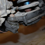 IMG_7824.JPG