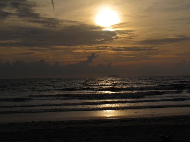 [IMG_34602.jpg]