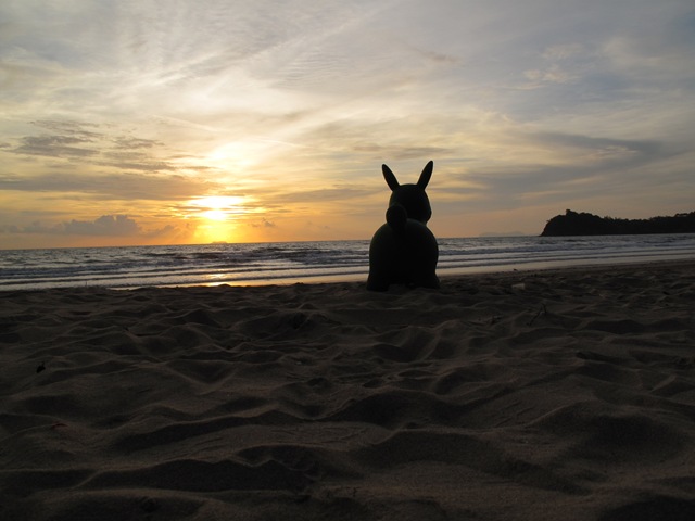 [IMG_34642.jpg]