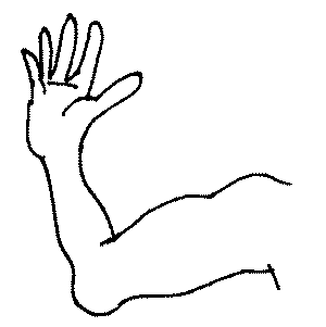 Human-Hand-Drawing