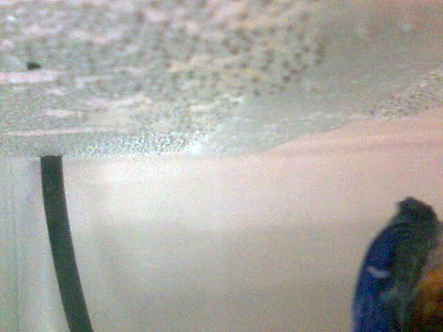 Imag010.jpg