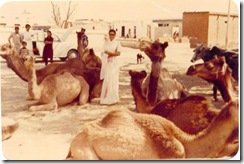 camels-pilani camels-pilani