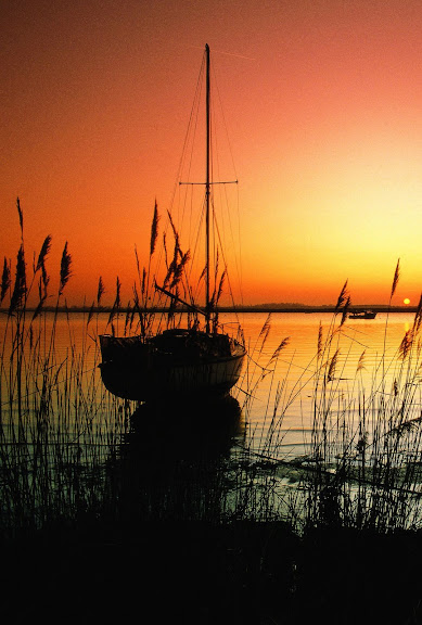 Singles Walking Week, Deepdale Backpackers and Camping. |   Deepdale Singles Walking Week on the Beautiful North Norfolk Coast | Course, Outdoor, Special, walking, north norfolk coast, groups, making friends, open to all, make new friends, lots of fun