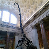 2010-02-27 14.34.02.jpg