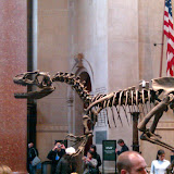 2010-02-27 14.36.09.jpg
