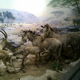 2010-02-27 14.38.30.jpg
