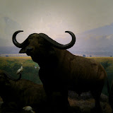 2010-02-27 14.41.24.jpg