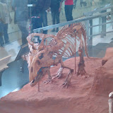 2010-02-27 15.53.59.jpg