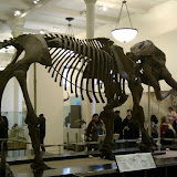 2010-02-27 16.14.43.jpg