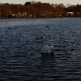 DSC_0198.JPG
