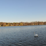 DSC_0201.JPG
