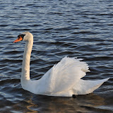 DSC_0126.JPG