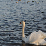 DSC_0128.JPG