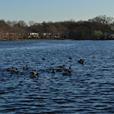 DSC_0133.JPG