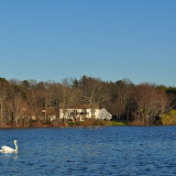 DSC_0137.JPG