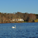 DSC_0138.JPG