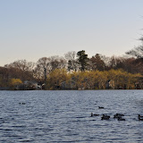 DSC_0140.JPG